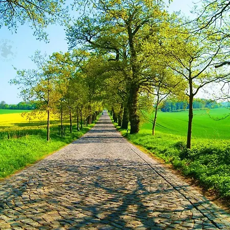 公寓 Residenz Seeblick 18 Mit Balkon Und Ostseeblick Sellin (Rugen)